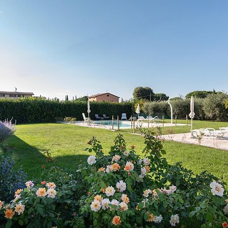 לינה וארוחת בוקר באסטיה אומברה Rosa Di Assisi מראה חיצוני תמונה